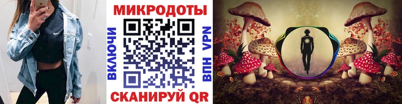 Купить закладки  Кумертау  Псилоцибиновые грибы GOLDEN TEACHER 